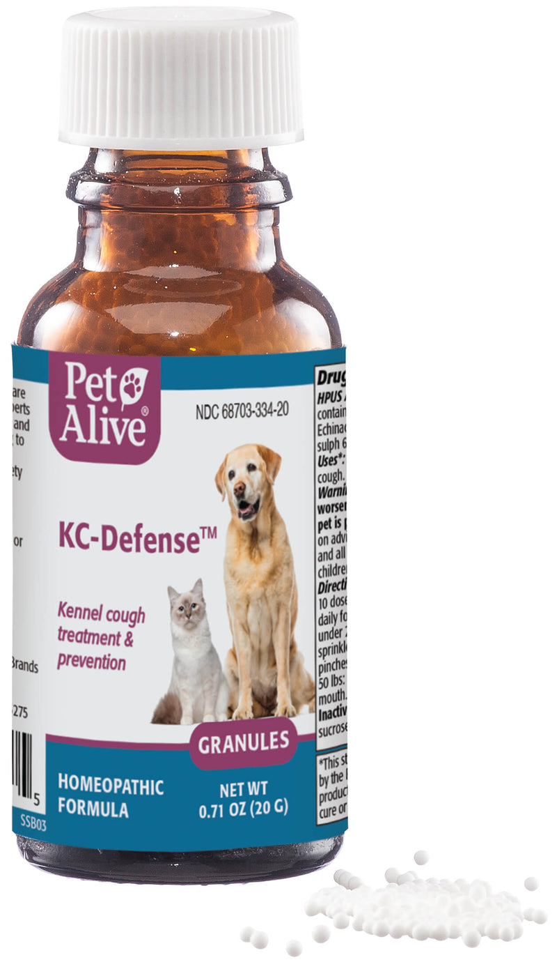Kennel Cough